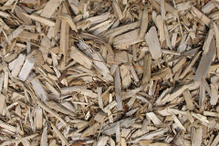 biomass boilers Kinson